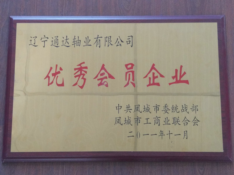 優(yōu)秀會(huì)員企業(yè) 2011.jpg
